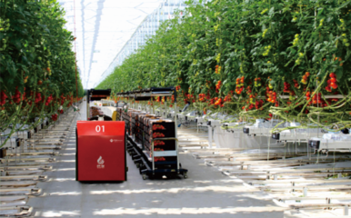 合肥市包河區(qū)首個數(shù)字化種植工廠即將上線 實現(xiàn)流水線、立體式種植